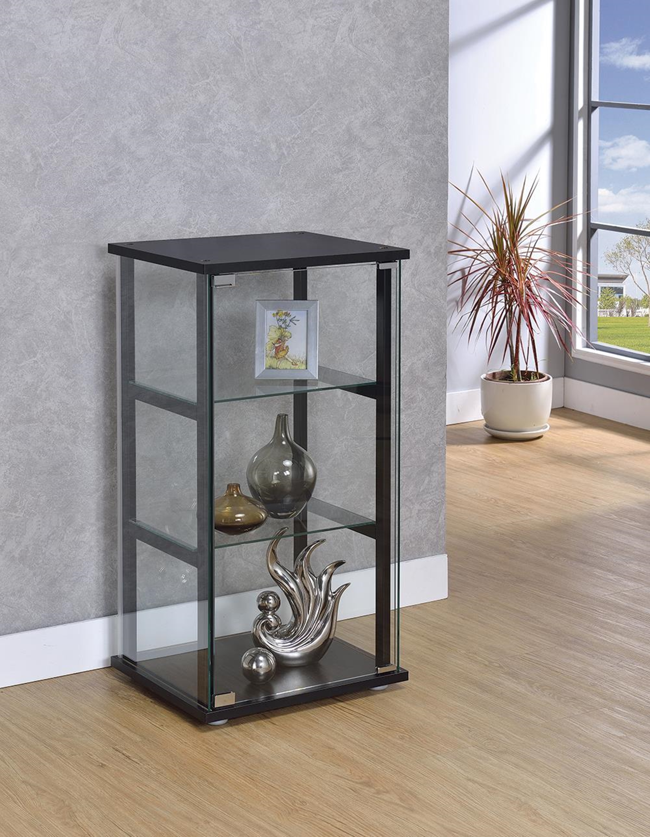 Contemporary Black and Glass Curio Cabinet