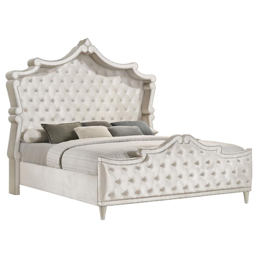 Antonella Upholstered Queen Panel Bed Ivory and Camel (image for) Antonella Upholstered Queen Panel Bed Ivory and Camel