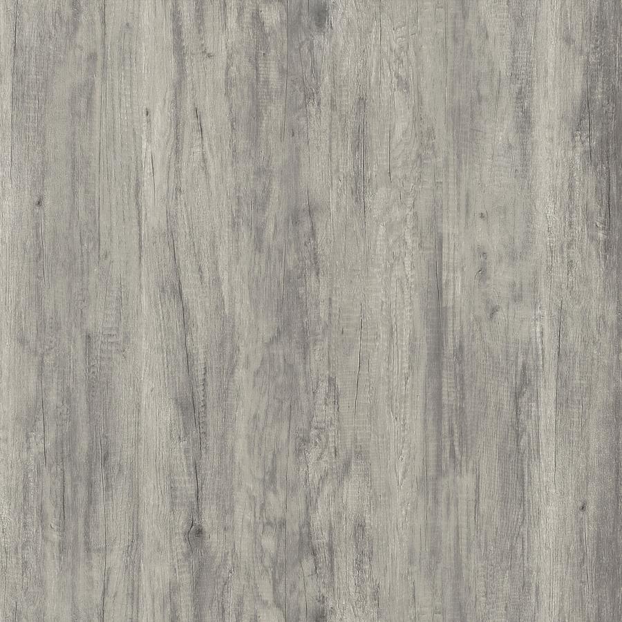 Brockton 2-door Engineered Wood 48" TV Stand Grey Driftwood